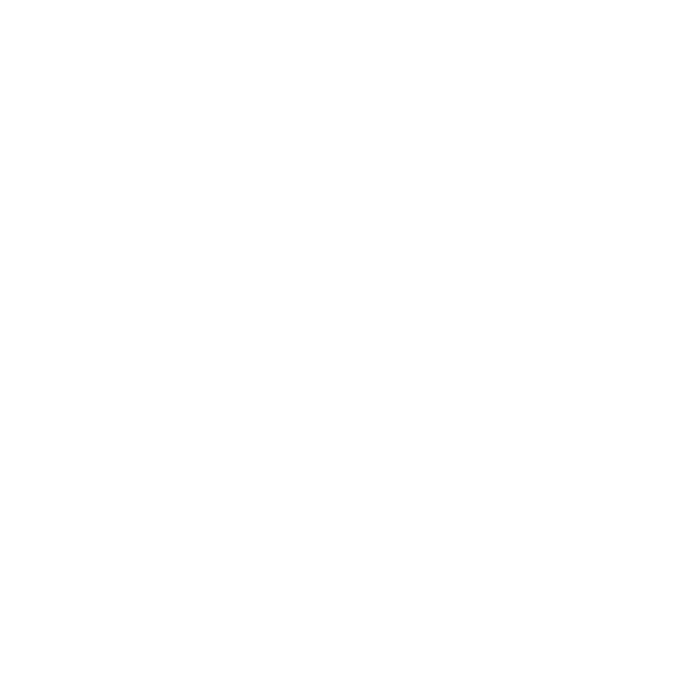 Kundenlogo   Mckinivan