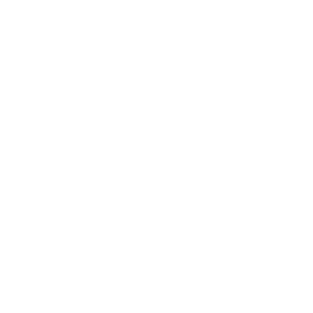 Partnerlogo   Balimage